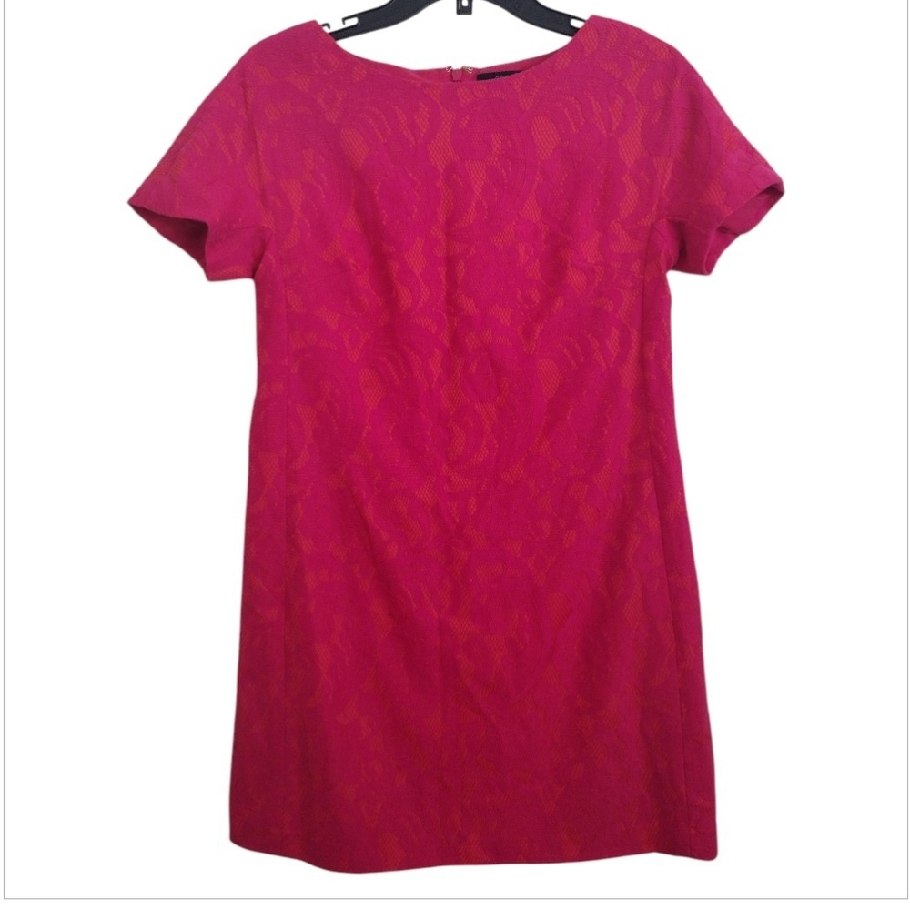 Cynthia Steffe Elegant Pink Lace Dress Size 4